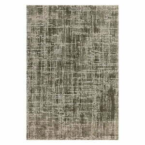 Khaki szőnyeg 240x340 cm Kuza – Asiatic Carpets kép