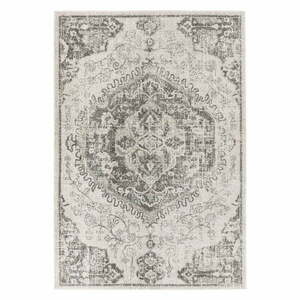 Szürke-krémszínű szőnyeg 200x290 cm Nova – Asiatic Carpets kép