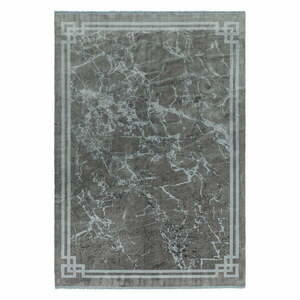 Szürke szőnyeg 160x230 cm Zehraya – Asiatic Carpets kép