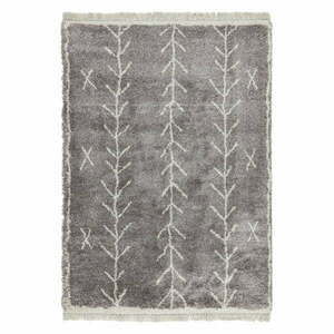 Szürke szőnyeg 160x230 cm Rocco – Asiatic Carpets kép