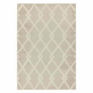 Krémszínű kültéri szőnyeg 120x170 cm Monty – Asiatic Carpets kép