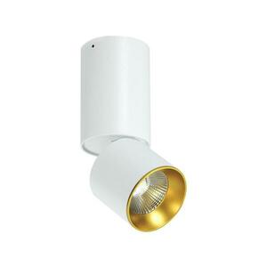 LED Mennyezeti spotlámpa LED/10W/230V kép