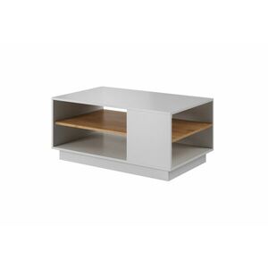 LAMU dohányzóasztal, 100x45, 5x60, fehér/tölgy kézműves arany kép