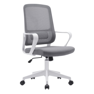 Irodai szék, szürke/fehér, SALOMO TYP 1 kép