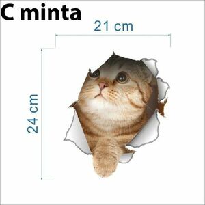 3D Cica Matrica - C minta kép