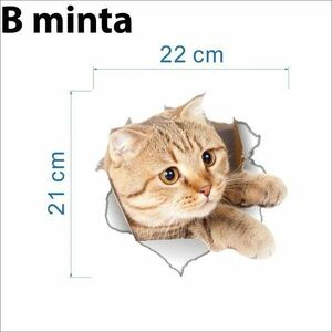 3D Cica Matrica - B minta kép