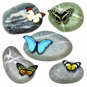 Butterflies on Stones öntapadó dekoráció, 30 x 30 cm kép