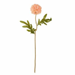 Dandelion selyemvirág szál, 38cm magas - Barack színű kép