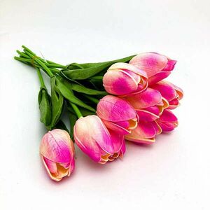 Felül mageta-rózsaszín tulipán kép