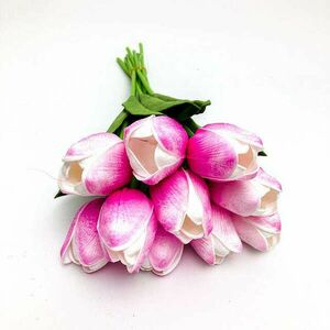 Magenta-rózsaszín tulipán 1 db kép