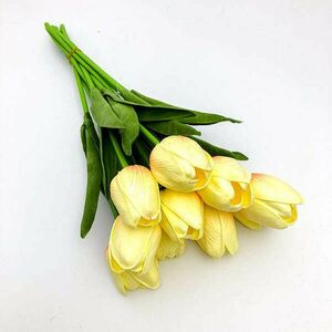 Sárgás krém tulipán 1 db kép