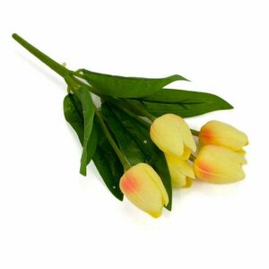 5-agu-citromsarga-tulipan kép
