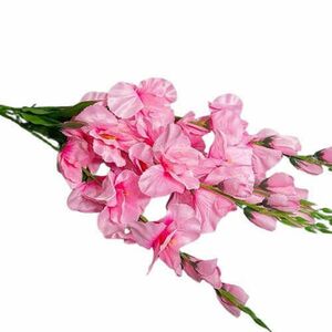 70 cm rózsaszín virág ág kép