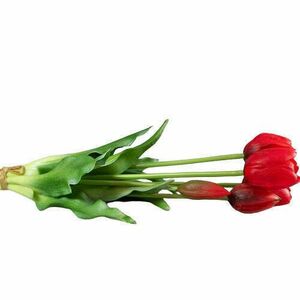 Gyönyörű 5 szál piros gumi tulipán kép
