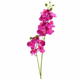 Egyedi orchidea kép
