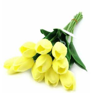 Krém-sárga tulipán 1 db kép