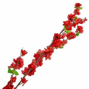 120 cm piros virág ág kép