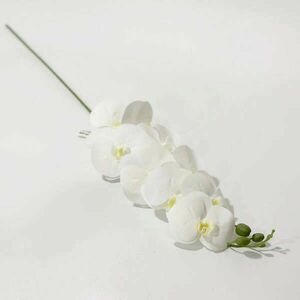 100 cm gumi tapintású fehér orchidea kép
