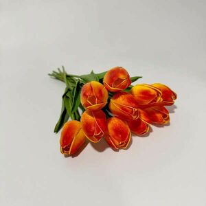 Narancssárga tulipán kép