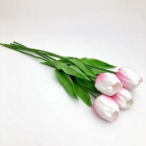 Prémium nagyfejű tulipán cirmos pink kép