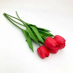 Prémium nagyfejű tulipán piros-málna kép