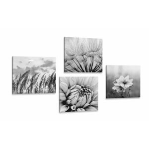 Képszett fekete-fehér rét virágokkal kép