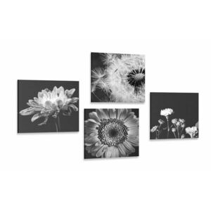 Képszett fekete-fehér lágy virágok kép