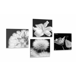 Képszett virágok fekete-fehér szépsége pillangóval kép