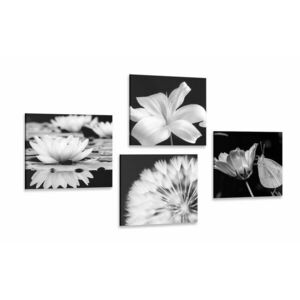 Képszett virágok pillangóval fekete-fehérben kép
