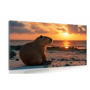 Kép kapibara a naplementében kép