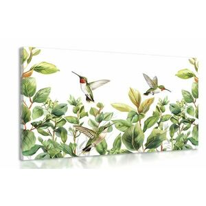 Kép kolibrik és levelek kép