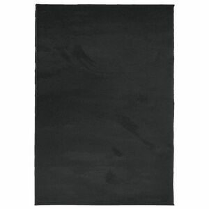 vidaXL OVIEDO fekete rövid szálú szőnyeg 300 x 400 cm kép