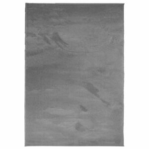 vidaXL OVIEDO antracitszürke rövid szálú szőnyeg 300 x 400 cm kép