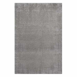 Szürke szőnyeg újrahasznosított szálakból 120x170 cm Velvet – Flair Rugs kép