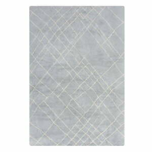 Világosszürke mosható szőnyeg 160x230 cm Alisha – Flair Rugs kép