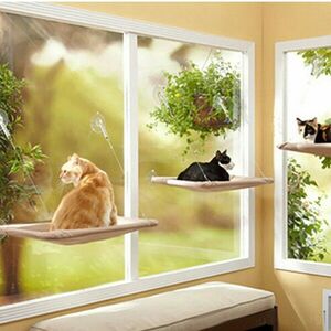 Macska fekhely ablakra, cica fekhely, ablakra tapasztható cicaágy kép