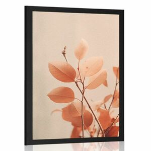 Plakát gallyak levelekkel Peach Fuzz kép
