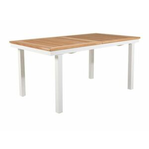 Kerti asztal Dallas 809 (Tikfa + Fehér) kép