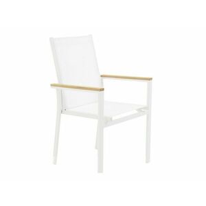Kerti szék Dallas 2825 (Fehér + Barna) kép