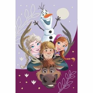 Jerry Fabrics Frozen Family 03 gyerek takaró, 100 x 150 cm kép