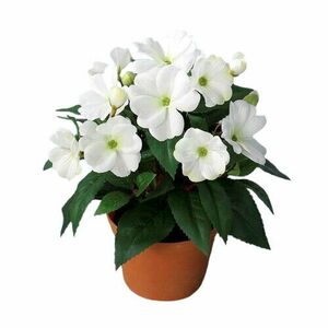 Mű Nebáncsvirág virágtartóban fehér, 24 cm kép