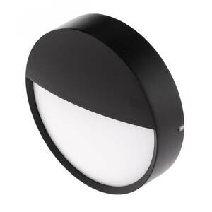 BRUMBERG Eye LED külső fali világítás, fél, fekete kép