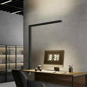 Arcchio Jolinda LED irodai bilincslámpa, fekete, dimmelhető kép