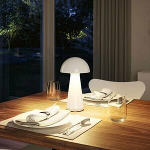 Paulmann LED-es, újratölthető asztali lámpa Onzo, fehér, műanyag, IP44 kép