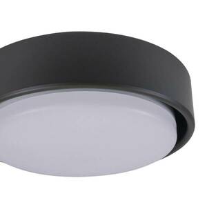 Lucci Air lámpa mennyezeti ventilátorokhoz, barna, GX53-LED kép