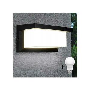 LED Kültéri fali lámpa NEELY 1xE27/10W/230V 3000K IP54 fekete kép