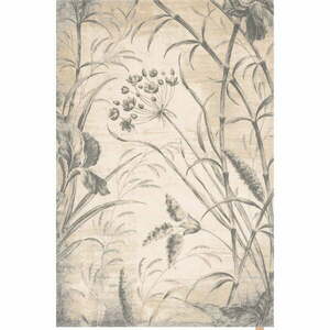Krémszínű gyapjú szőnyeg 200x300 cm Botany – Agnella kép