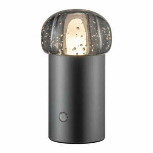 USB hordozható dimmelhető LED kültéri lámpa ø 10 cm Iris – Blomus kép