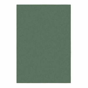 Zöld szőnyeg 80x150 cm – Flair Rugs kép
