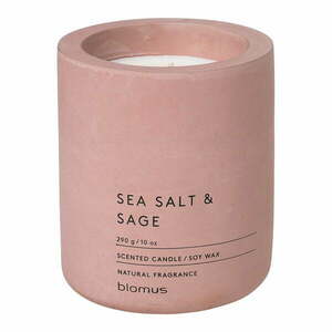 Illatos szójaviasz gyertya égési idő 55 ó Fraga: Sea Salt and Sage – Blomus kép